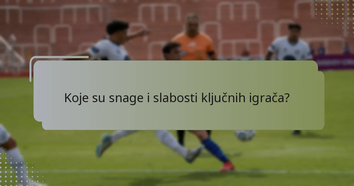 Koje su snage i slabosti ključnih igrača?