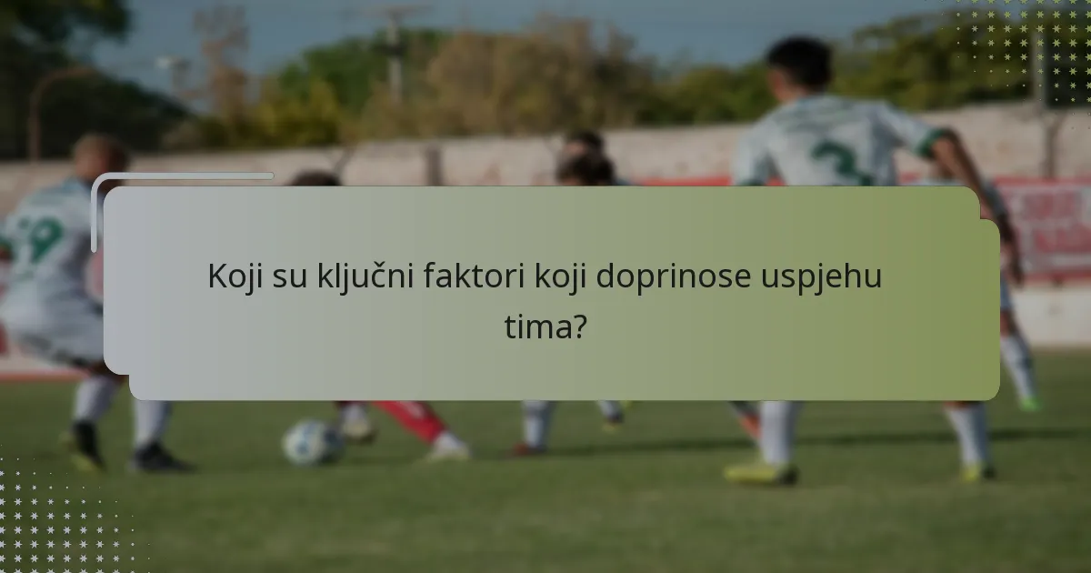 Koji su ključni faktori koji doprinose uspjehu tima?